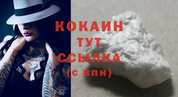 соль ск Арсеньев
