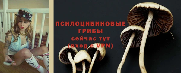 соль ск Арсеньев
