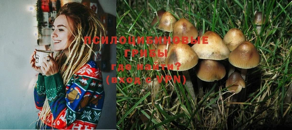 круглые Новозыбков