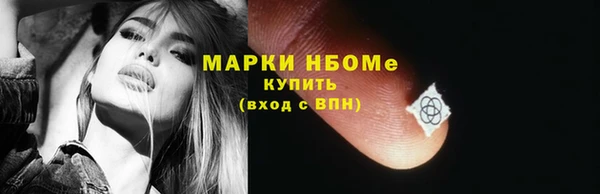 индика Новокубанск